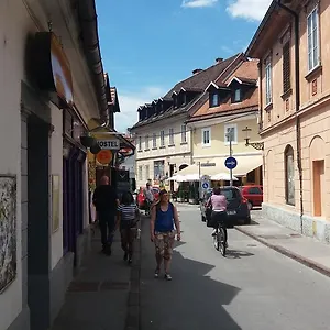 https://hostel-sleeping-beauty.hotels-in-ljubljana.com