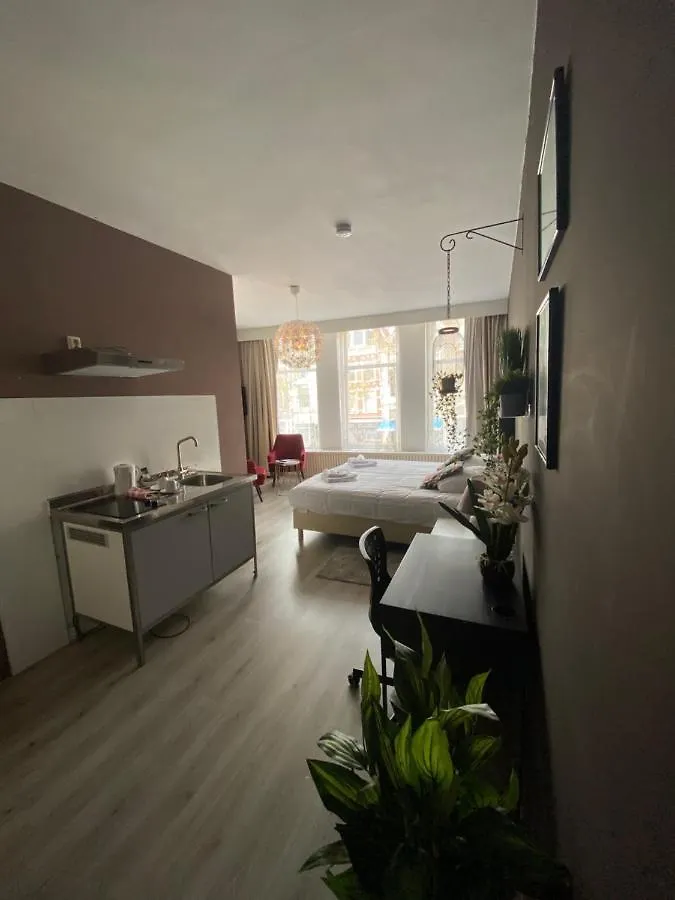 Hotel Bridges House Delft 3*,